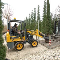 Chargeuse articulée Mustang AL106 - 2
