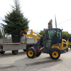 Chargeuse articulée Mustang AL306 - 3